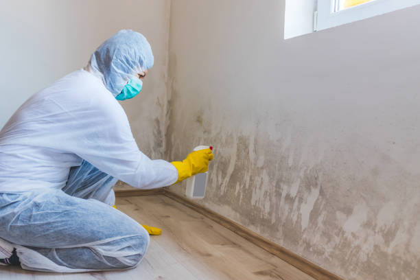 Licensed Commercial Mold Remediation service in Estero, FL - WQB Mold Removal