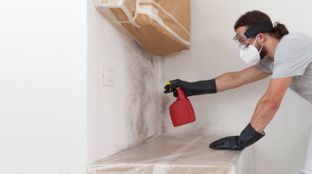 Professional Commercial Mold Remediation technician working in Estero, FL