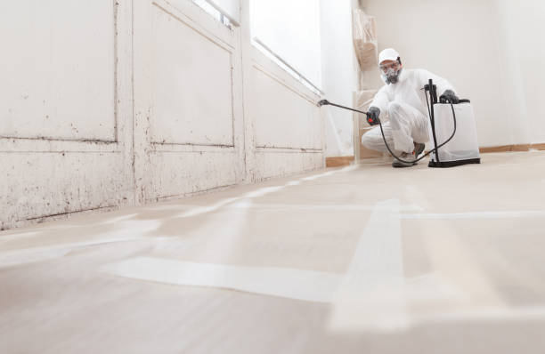 24/7 Emergency Commercial Mold Remediation experts in Estero, FL