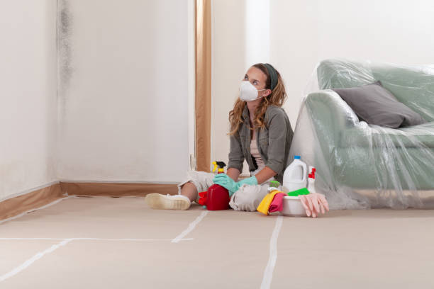 Reliable Commercial Mold Remediation contractor in Estero, FL by WQB Mold Removal